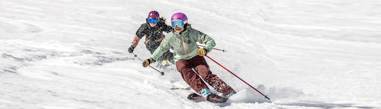 Горные лыжи