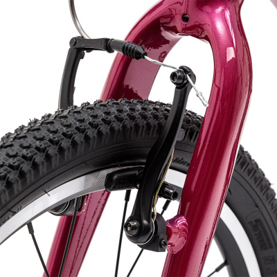 Детский велосипед Welt  Moovix 1.0 20 V Electric Pink от магазина Адреналин